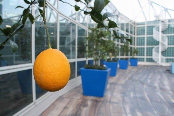 Innovative rooftop garden debuts at Los Angeles Convention Center