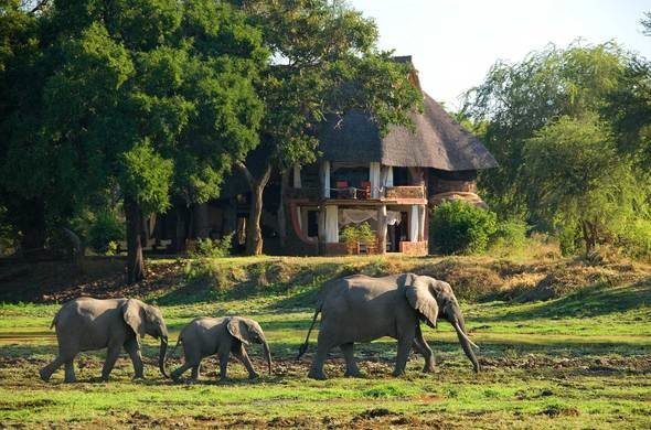 Tourism development with a strategy: Zambia focuses on sustainable game reserves