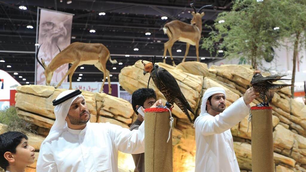Abu Dhabi International Hunting and Equestrian Exhibition gets ready to launch