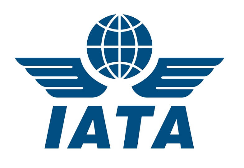 2019 IATA Global Airport & Passenger Symposium: Building capacity for the future