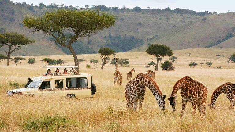 Tanzania Will Host Major East African Regional Tourism Expo in October